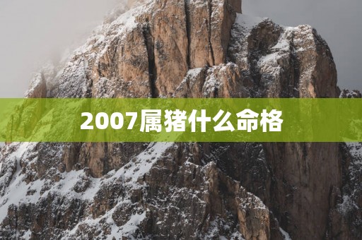 2007属猪什么命格