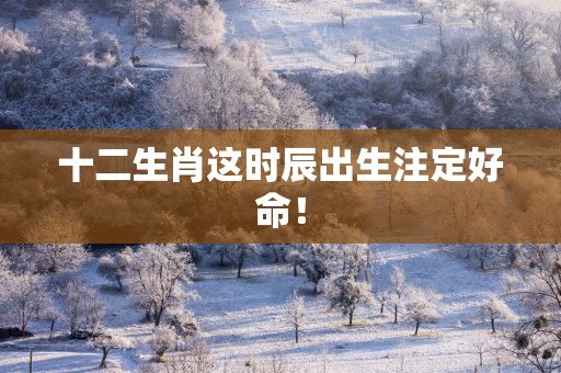 十二生肖这时辰出生注定好命！
