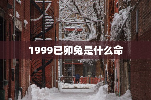 1999已卯兔是什么命