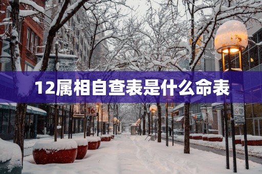 12属相自查表是什么命表