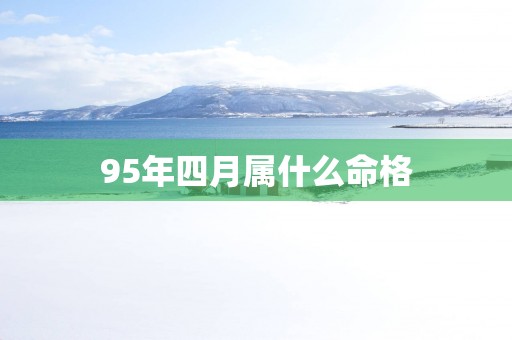 95年四月属什么命格