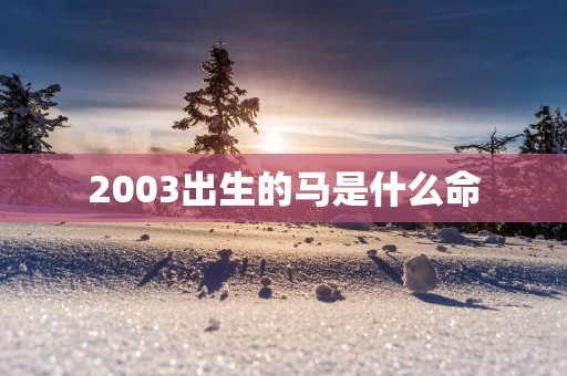 2003出生的马是什么命