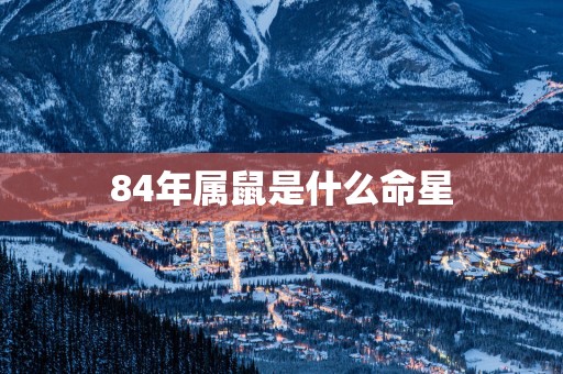 84年属鼠是什么命星