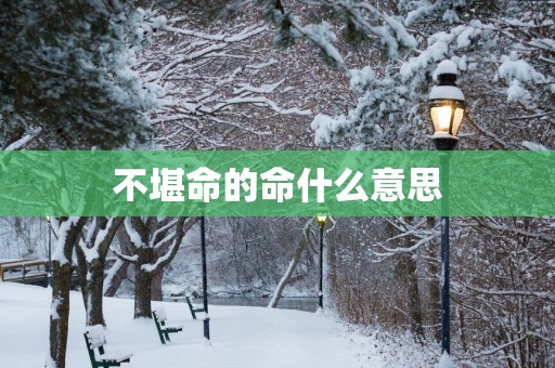 不堪命的命什么意思