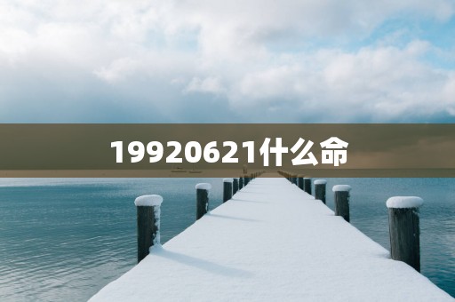 19920621什么命