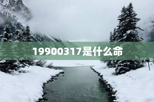 19900317是什么命