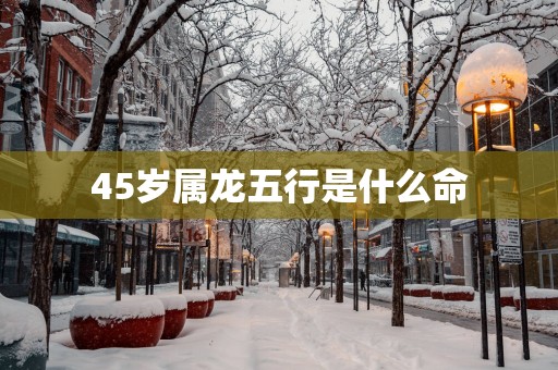 45岁属龙五行是什么命