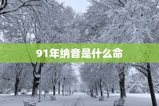 91年纳音是什么命