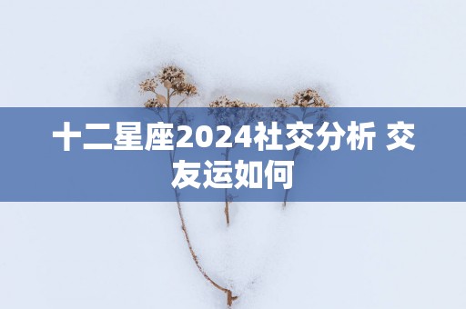 十二星座2025社交分析 交友运如何
