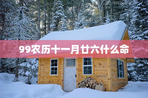 99农历十一月廿六什么命