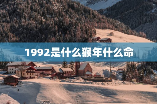 1992是什么猴年什么命