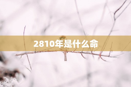 2810年是什么命