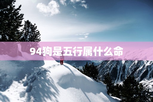 94狗是五行属什么命
