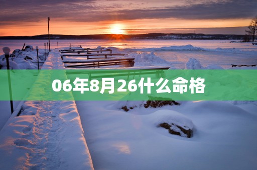 06年8月26什么命格