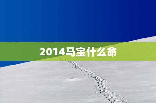 2014马宝什么命