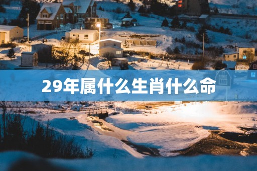 29年属什么生肖什么命