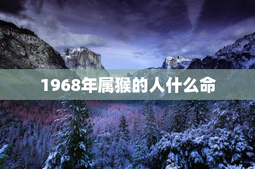 1968年属猴的人什么命
