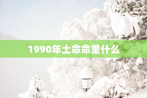 1990年土命命里什么