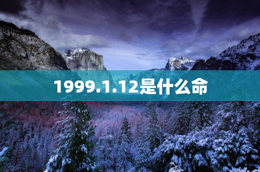 1999.1.12是什么命