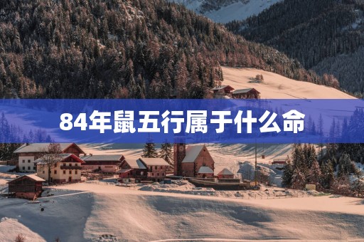 84年鼠五行属于什么命