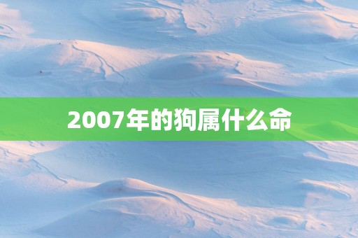 2007年的狗属什么命