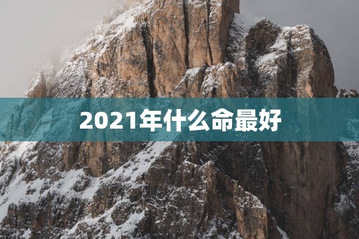 2025年什么命最好