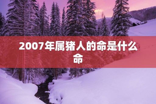 2007年属猪人的命是什么命