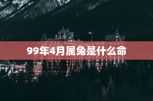 99年4月属兔是什么命