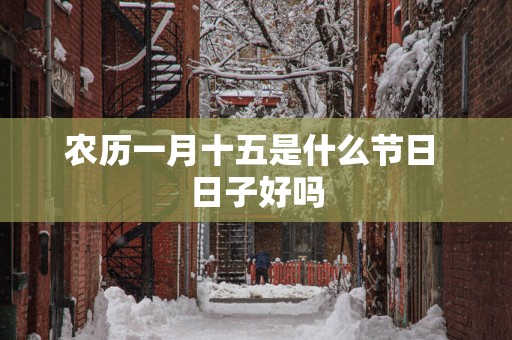农历一月十五是什么节日 日子好吗