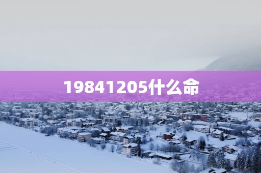 19841205什么命