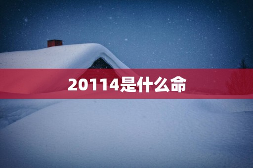20114是什么命