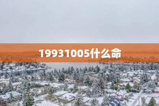 19931005什么命