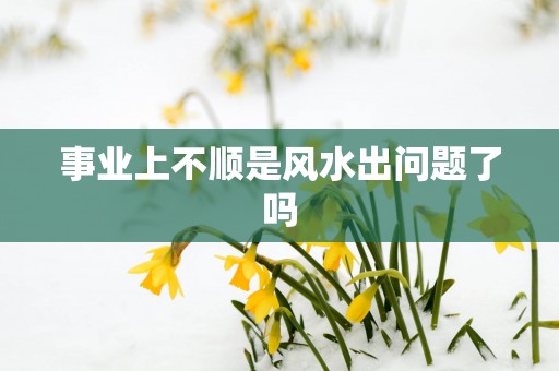 事业上不顺是风水出问题了吗