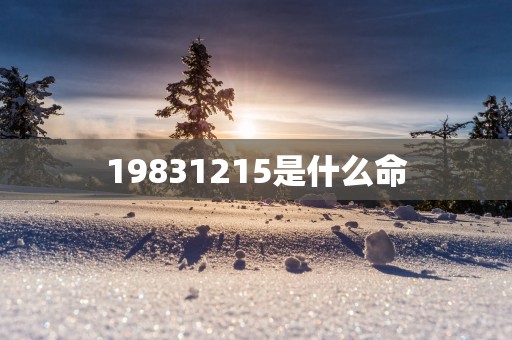 19831215是什么命