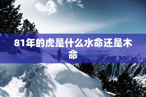 81年的虎是什么水命还是木命