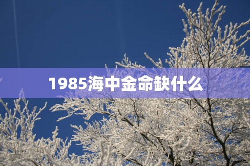 1985海中金命缺什么