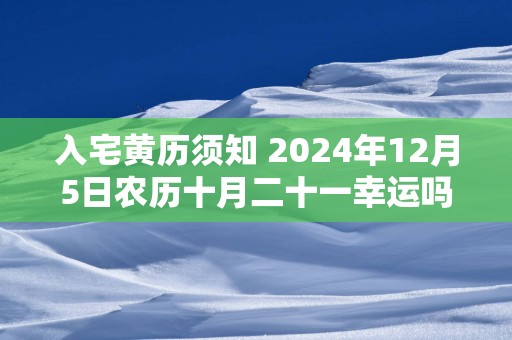 入宅黄历须知 2024年12月5日农历十月二十一幸运吗