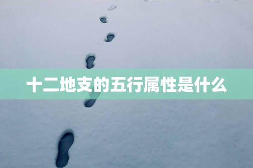 十二地支的五行属性是什么