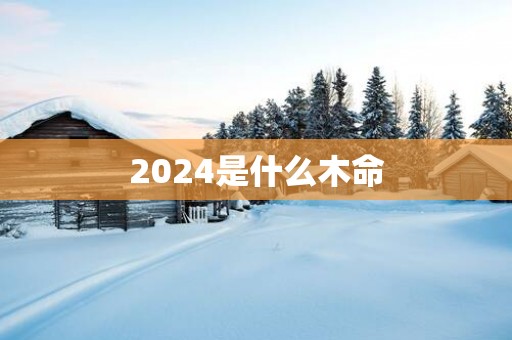 2025是什么木命