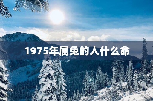 1975年属兔的人什么命