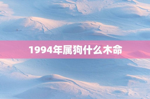 1994年属狗什么木命