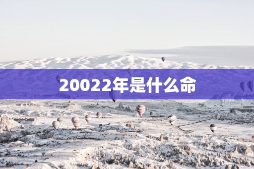 20022年是什么命