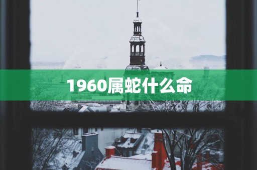 1960属蛇什么命
