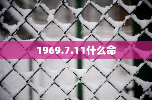 1969.7.11什么命