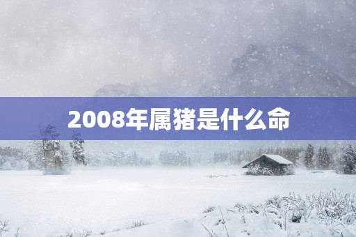 2008年属猪是什么命