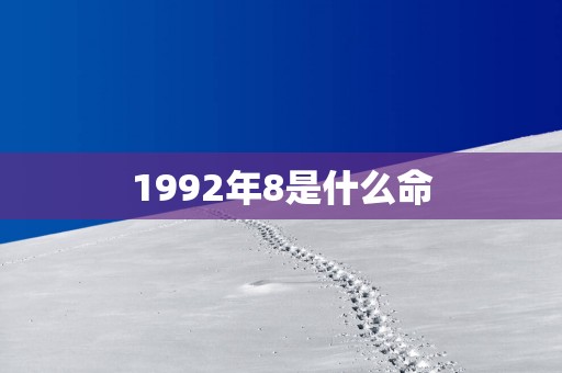 1992年8是什么命