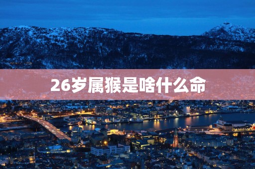 26岁属猴是啥什么命