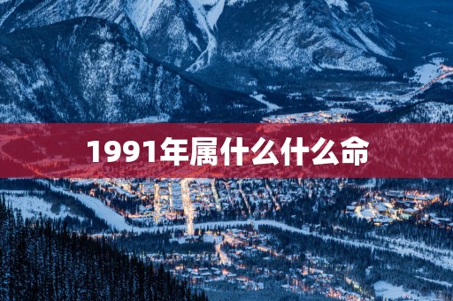 1991年属什么什么命