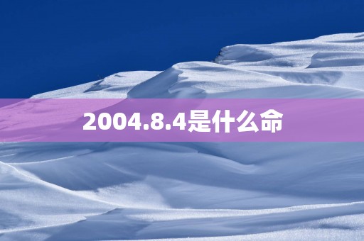 2004.8.4是什么命