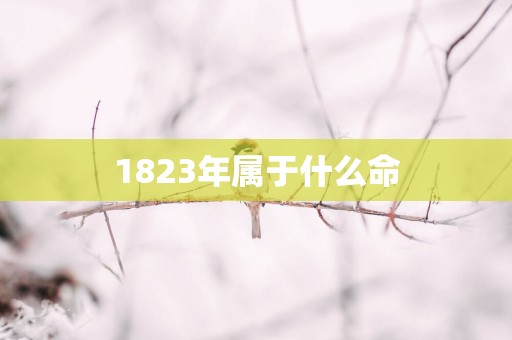 1823年属于什么命
